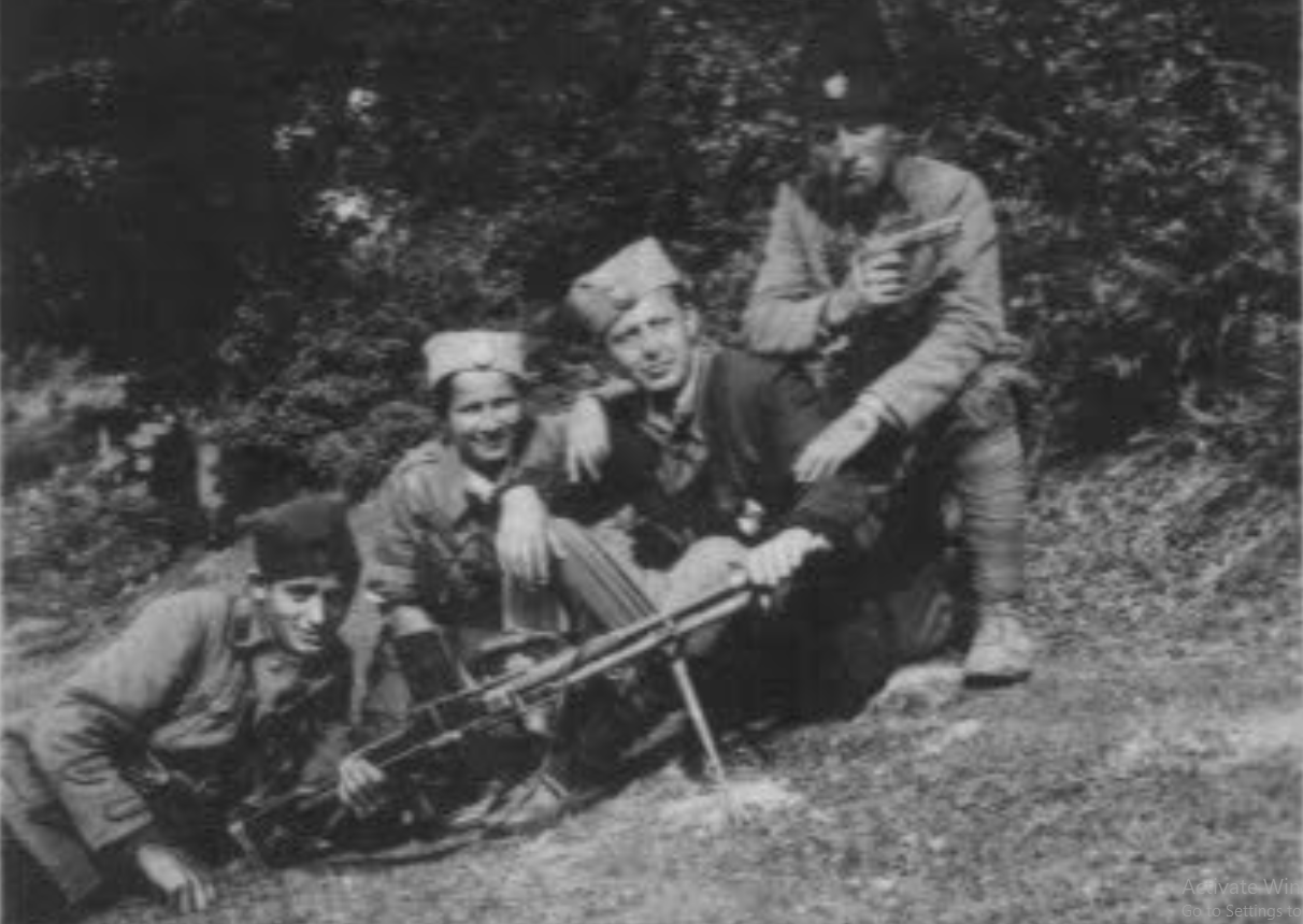 [Слика: Screenshot-1.png]