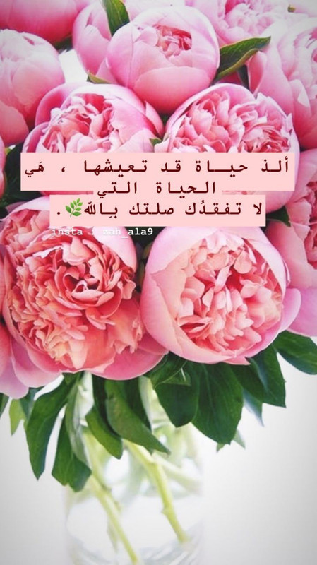 0C9E64C2-F391-4B5C-AEE2-1DCFC9FDDC14