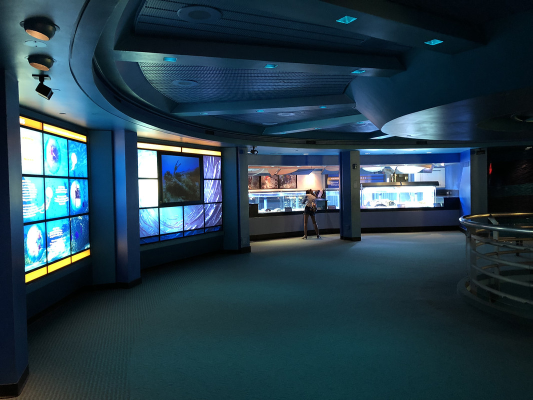 D4D3881B-7042-48A6-9E8B-B55189583B21