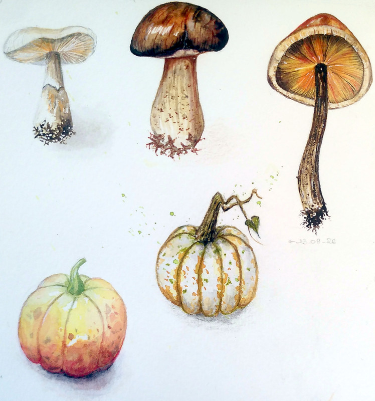 Dessins de champignons et de citrouilles