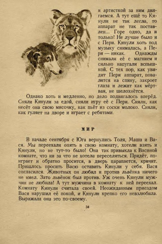 p0036