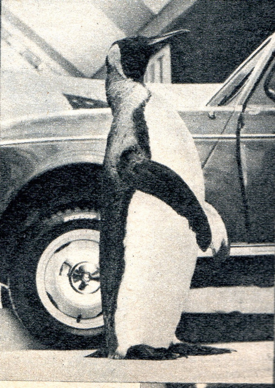 1963-12-00 - R4 Pôle Nord - R-Mag N°53 p36c