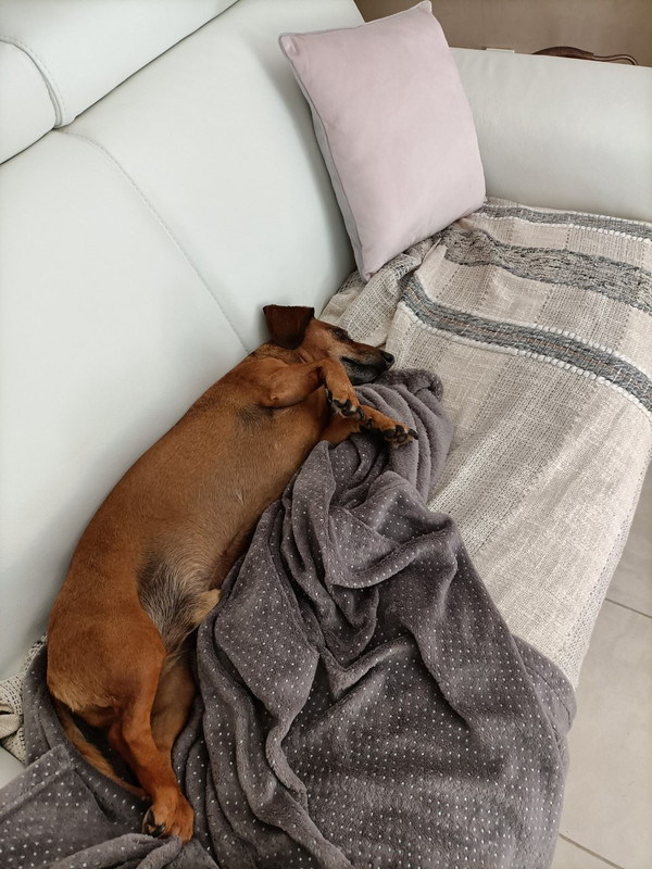 [Image: thumbnail-IMG20220613131412.jpg]