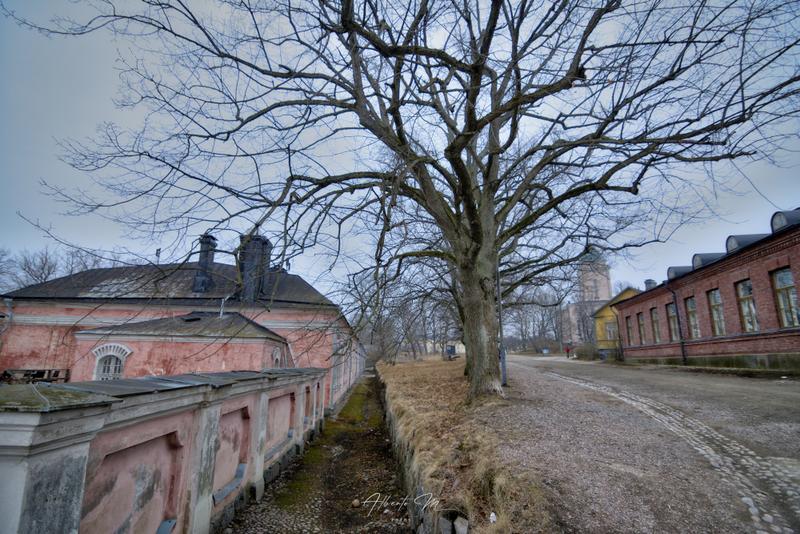 PARTE II - Auroras - 3.er reportaje por Laponia norte - Marzo 2025 (72)