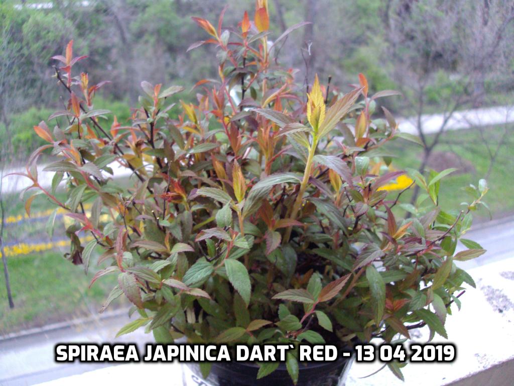 addtext_com_MDA0MzUyNTU4NDQ