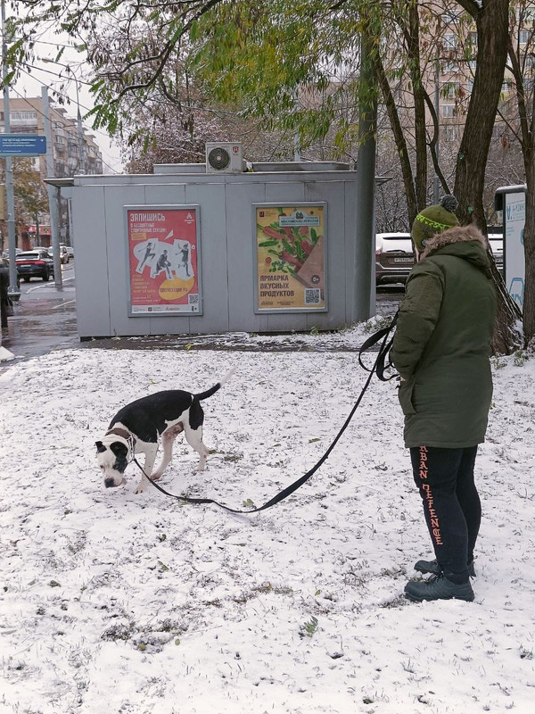 6479D1C9-43C0-4D67-8F83-D8C475F78905