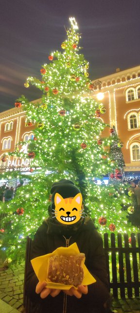 La pinacoteca del Castillo, la Galería Nacional y más Mercados de Navidad - Viena - Bratislava - Praga, Navidad 2024 (145)