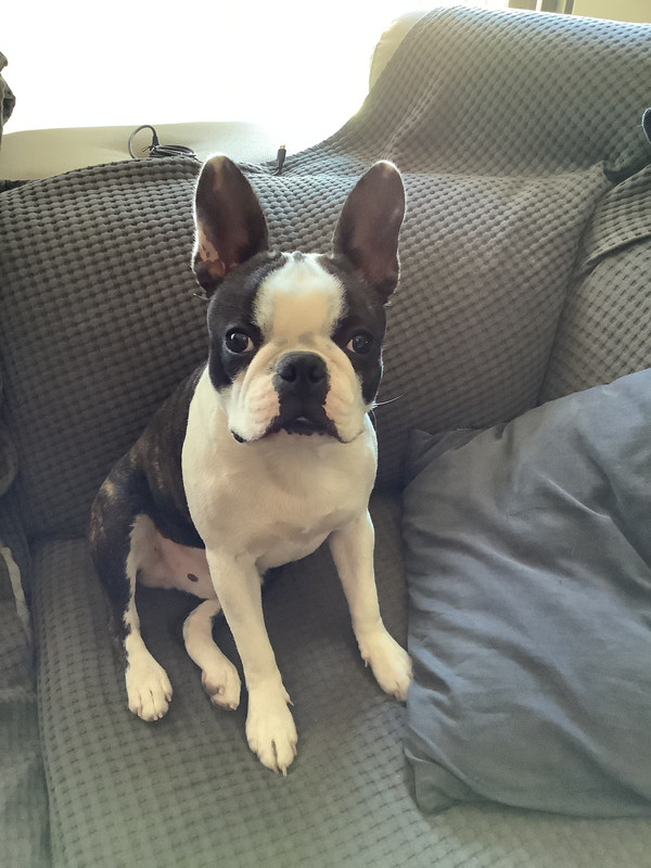 6D283FEB-1A61-4CF3-9C89-8E3D819B9674