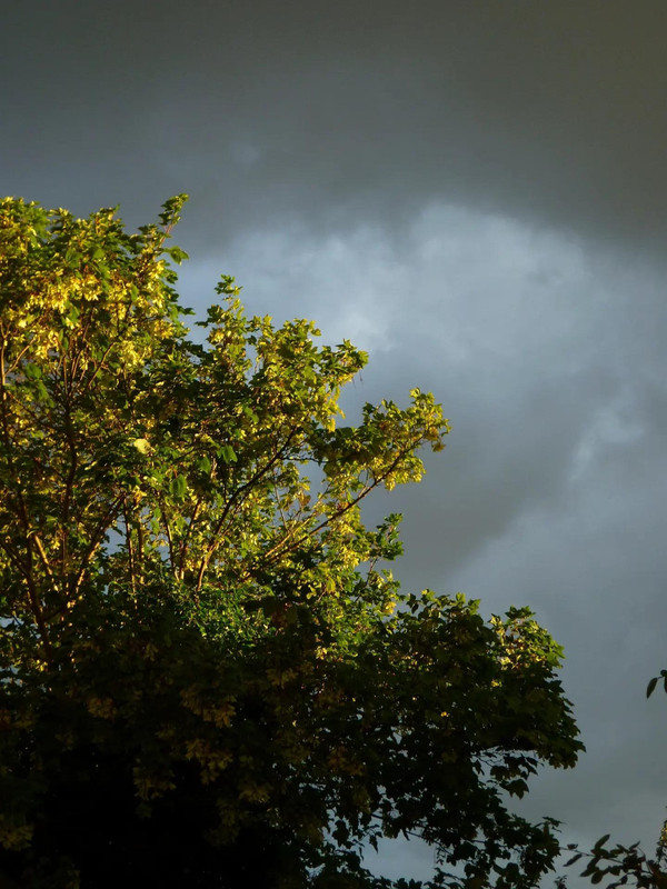 photo 46 2025 12 27 21 08 38