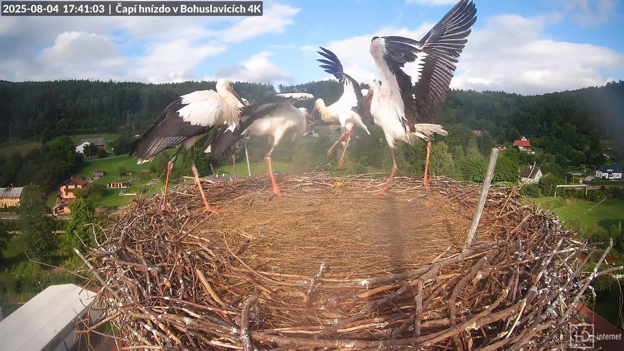 Tiešraide no KARA uzņēmuma stārķu skursteņa Bohuslavicē netālu no Trutnovas 16-53-50 screenshot (2)