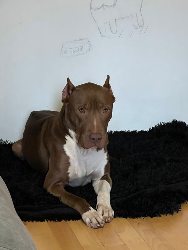 C26AE837-5CAB-4A92-A264-08C7F2447B82