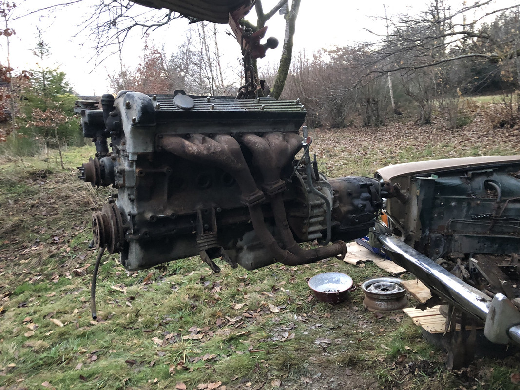 29946308-9D99-462C-9EFB-2B943E0A1E44