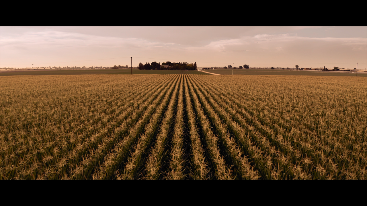 mpv-shot_Children.of.the.Corn.2020.2160p.UHD.BDREMUX.HDR.DV.HEVC-Нечипорук_00_26_27_0007