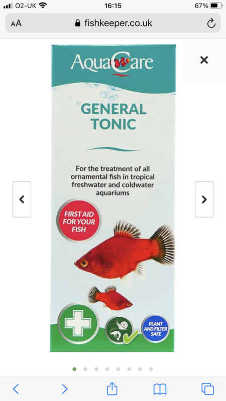 0EB39980-84AA-4555-83DC-2FD873042616