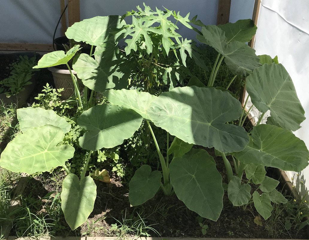 43D4D04F-5B1D-46DB-893E-71D54E7CD7BF