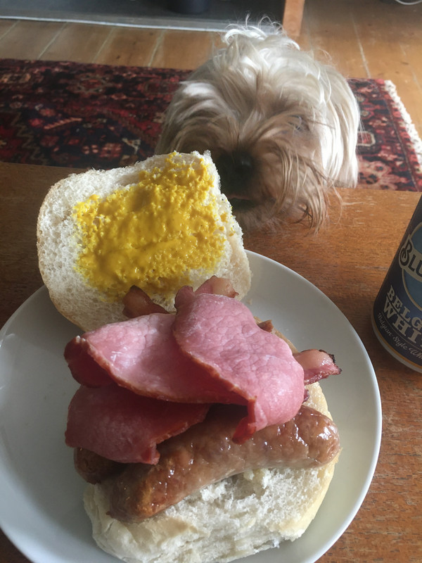 B4456D2F-8C68-4CDC-A6F4-1CE5BB1FF392