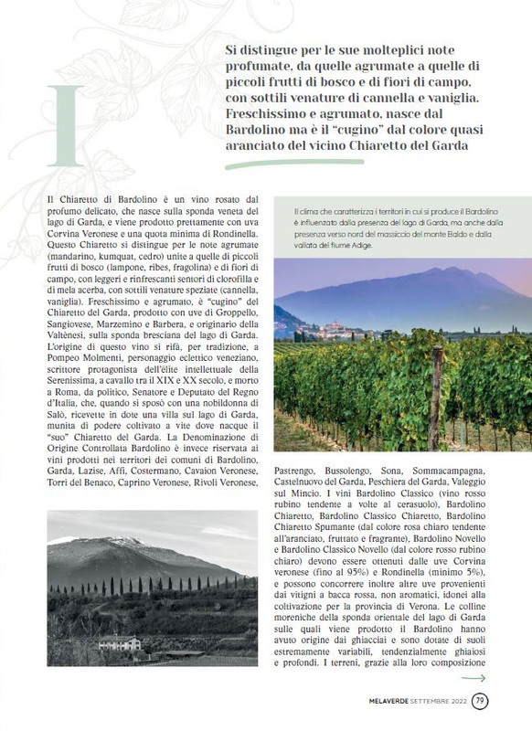 melaverde Set 2022 (10)