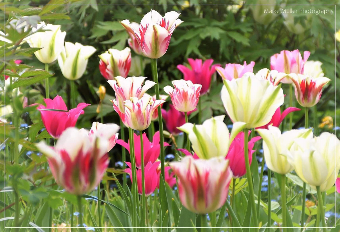 [Image: FB-IMG-1585913757034.jpg]