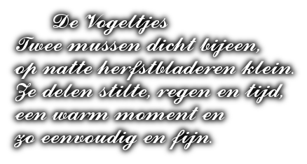 cooltext500919979900464