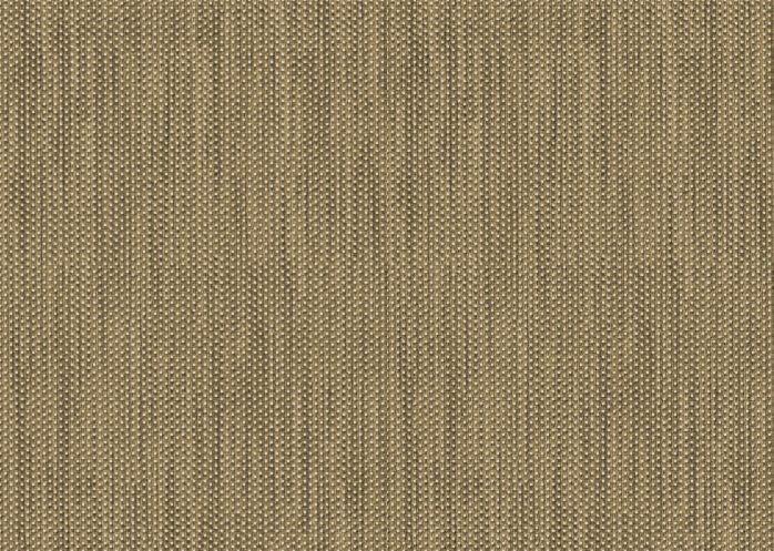 1070_441654899227467_479410169_n