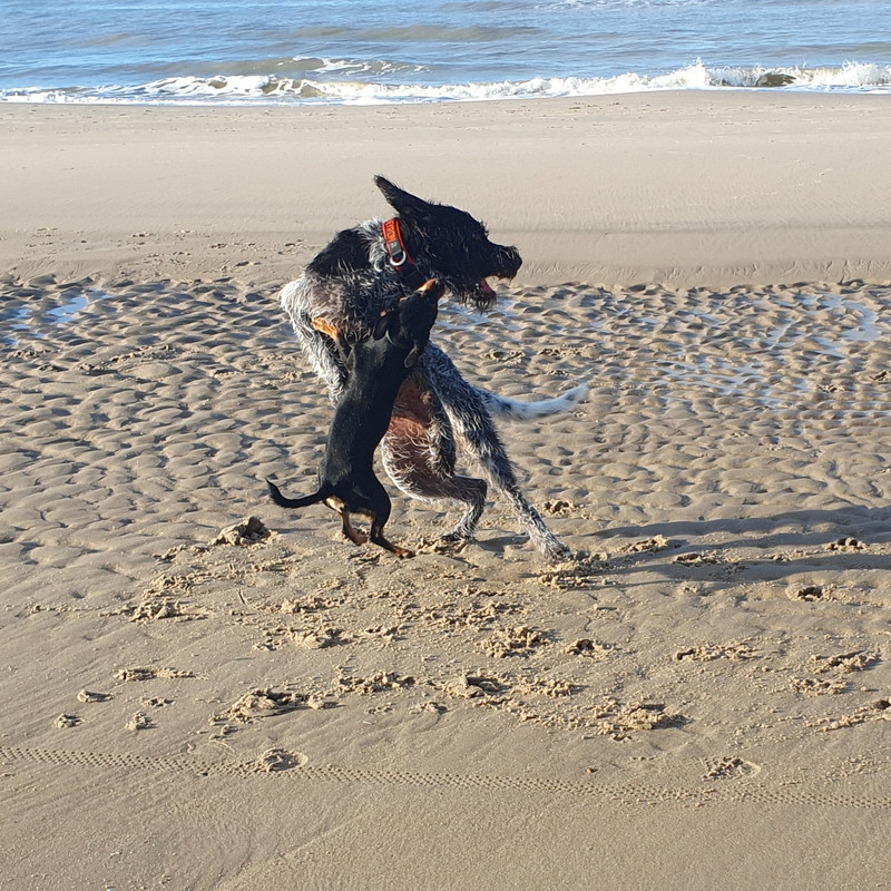 IMG_20201127_194728_914