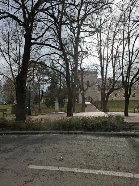 Slika