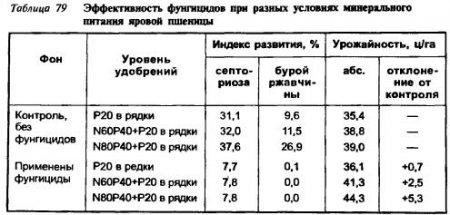 Сравнительный анализ экономической эффективности выращивания пасленовых культур