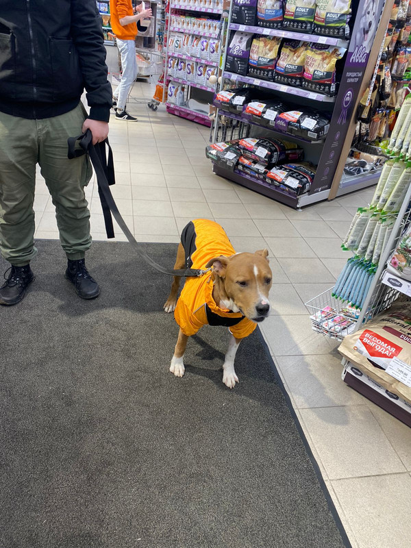 57F8EF6B-9783-4D44-B1B5-E586168523B0