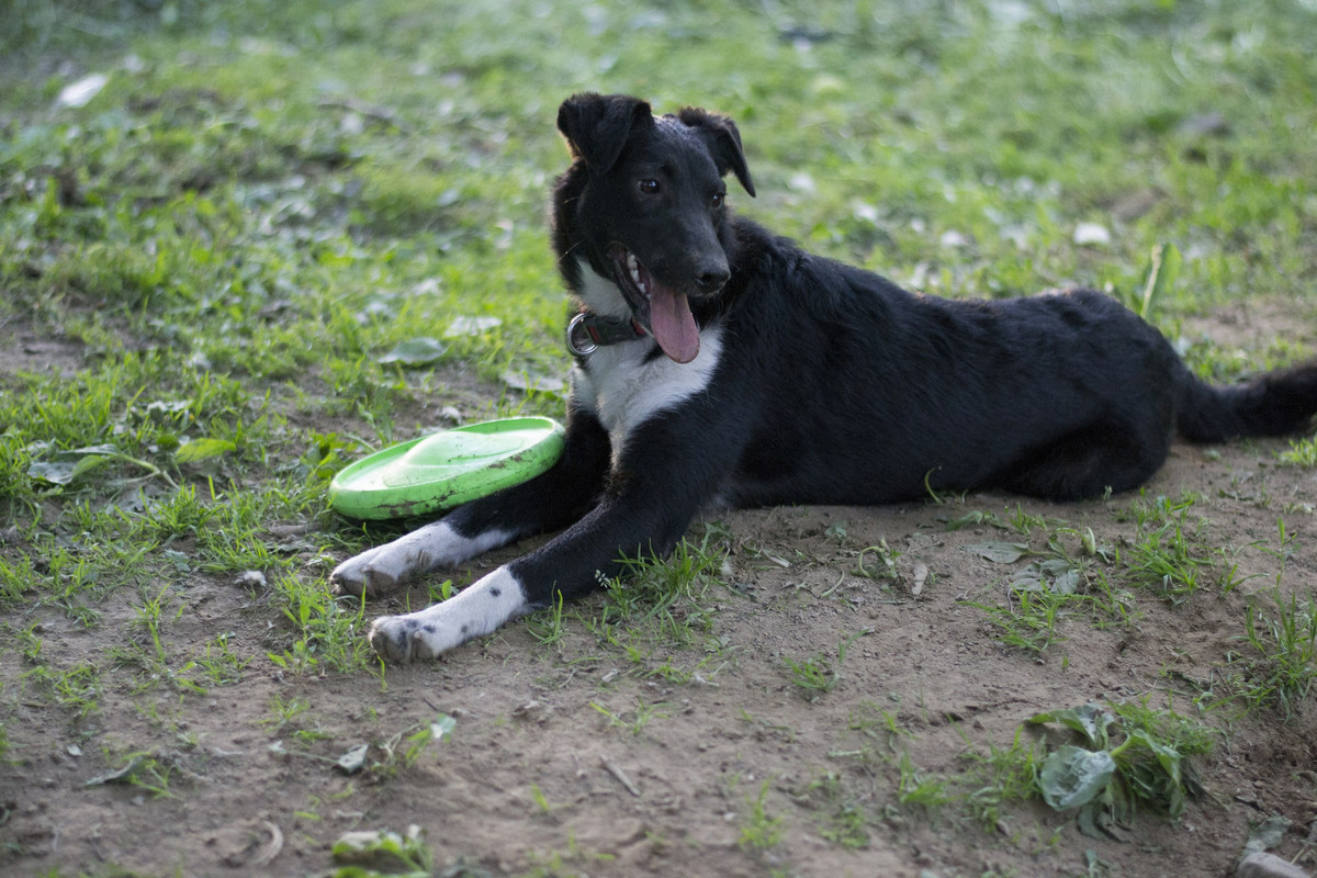 Дакота_06_18_16