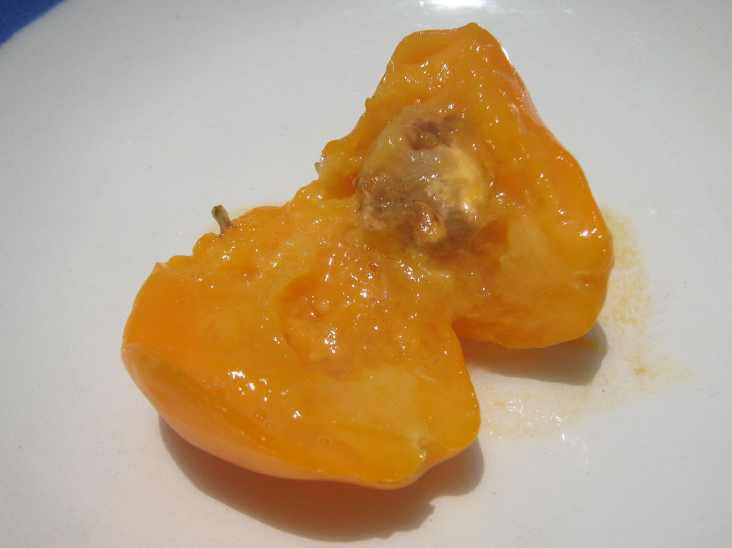 uvaia_inside_-20141230T133103