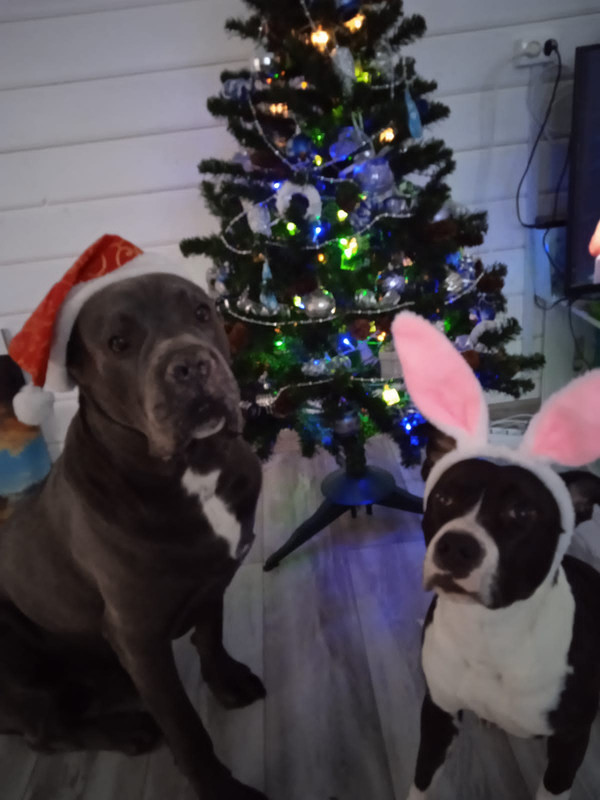 F8B0C78C-5CF7-4FEC-8365-E1D50A248384