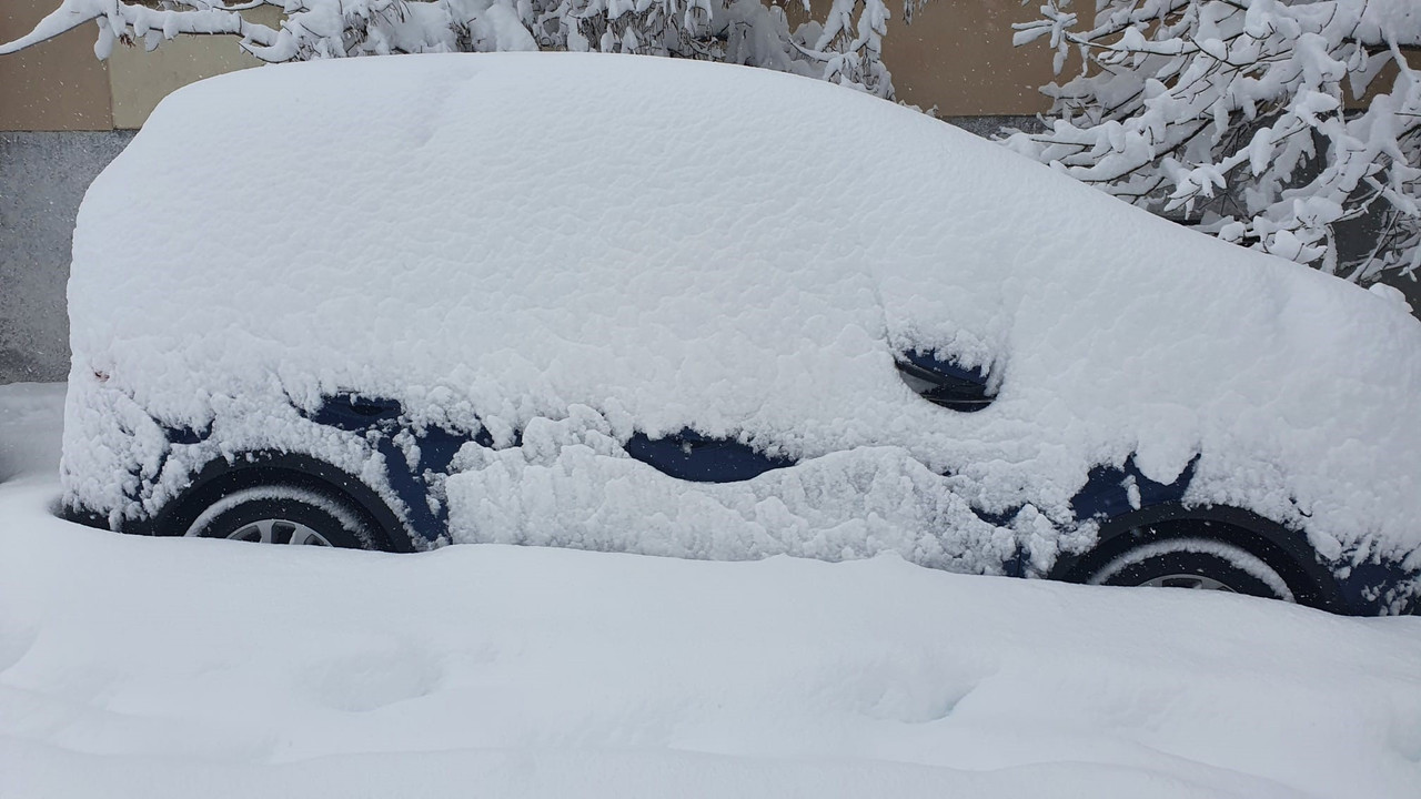 nieve