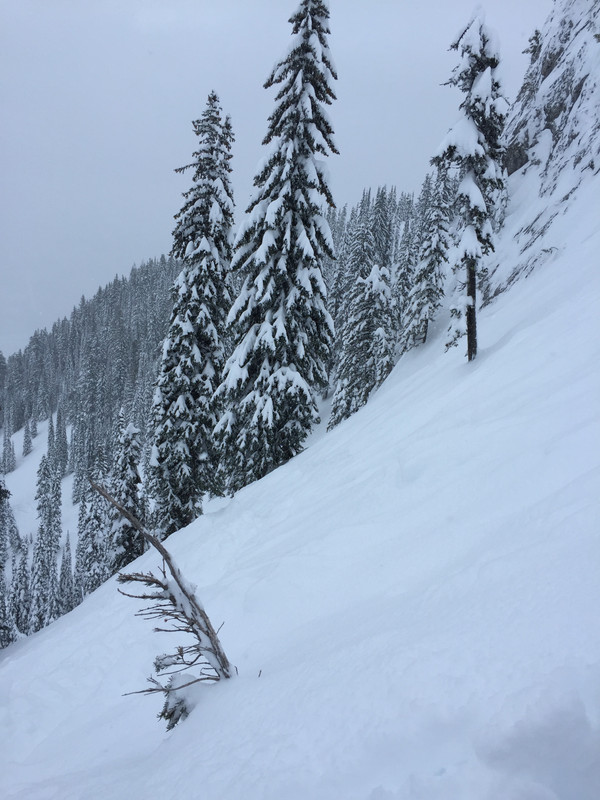 F7152CF7-235B-41B6-9B82-8FDBFF9DEAB8