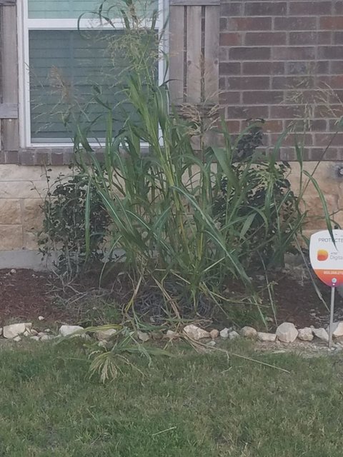 787 Corner-4th warning