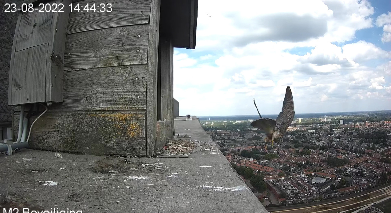 Tilburg/Westpointtoren - Pagina 17 Video-2022-08-23-154243-Moment-2