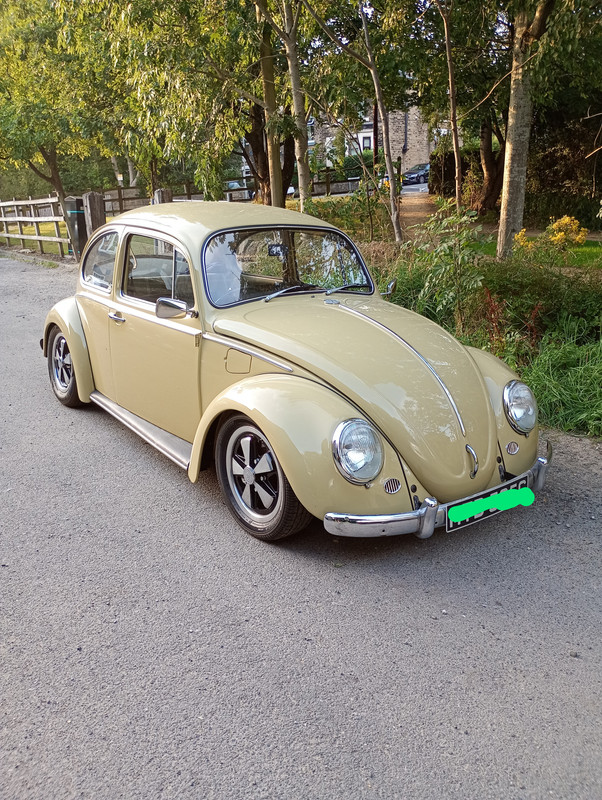 IMG_20250813_190628035_MFNR~2