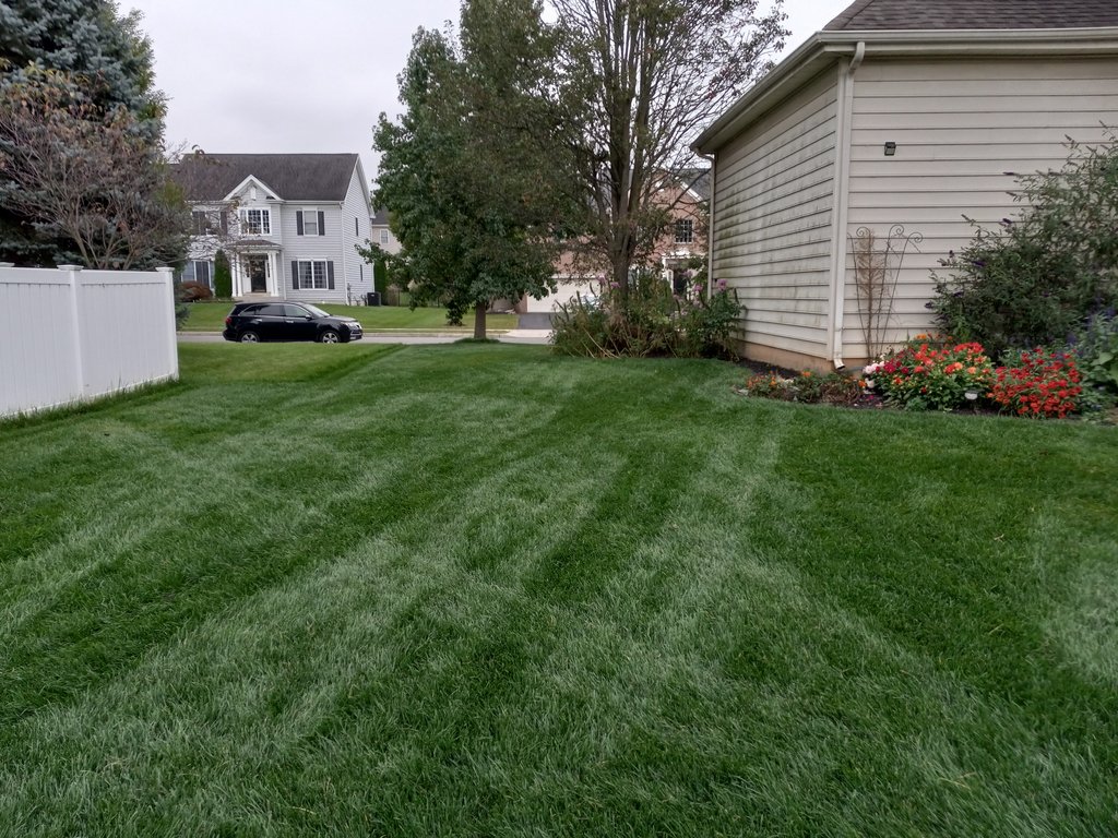 Lawn and Gardens 10.06.2017  (5)