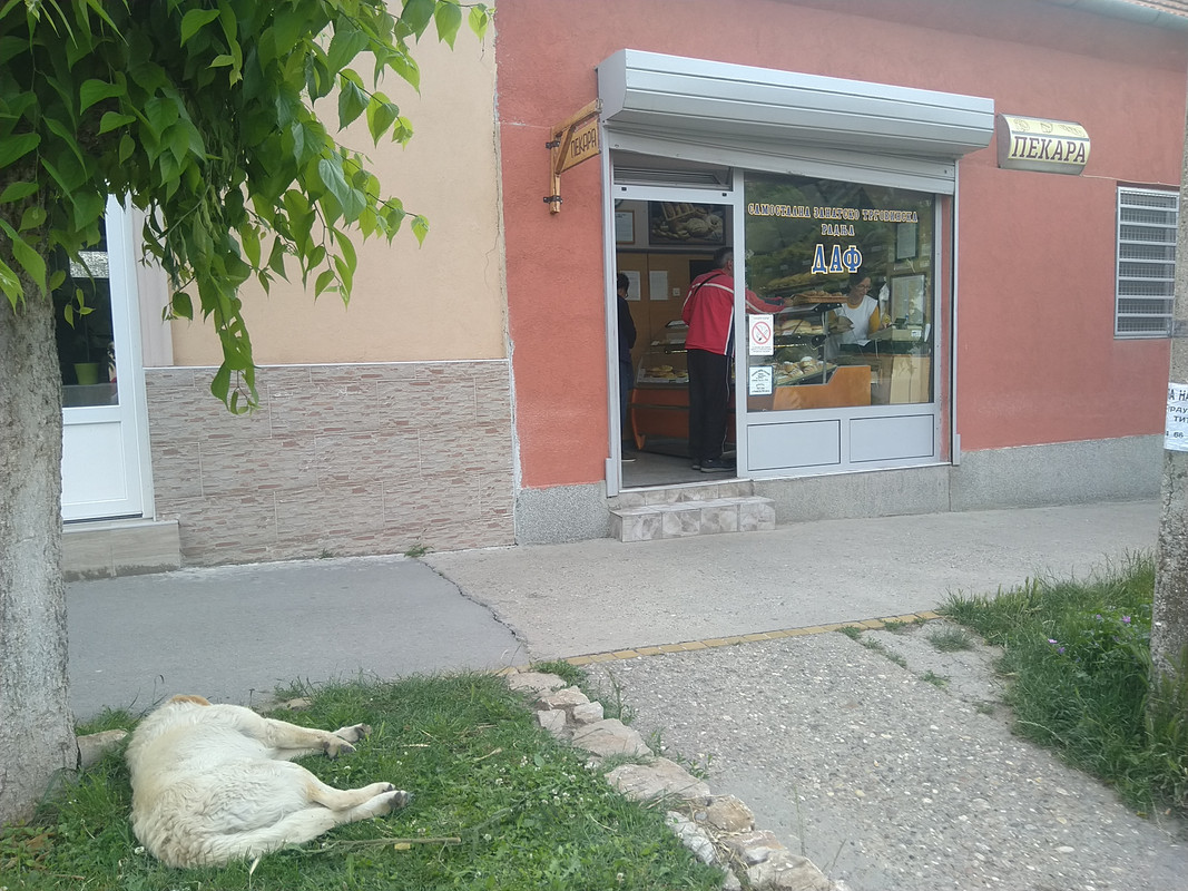 Slika