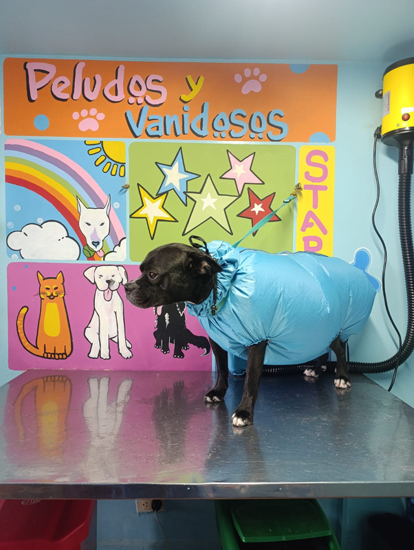 Galería Baño y Peluquería