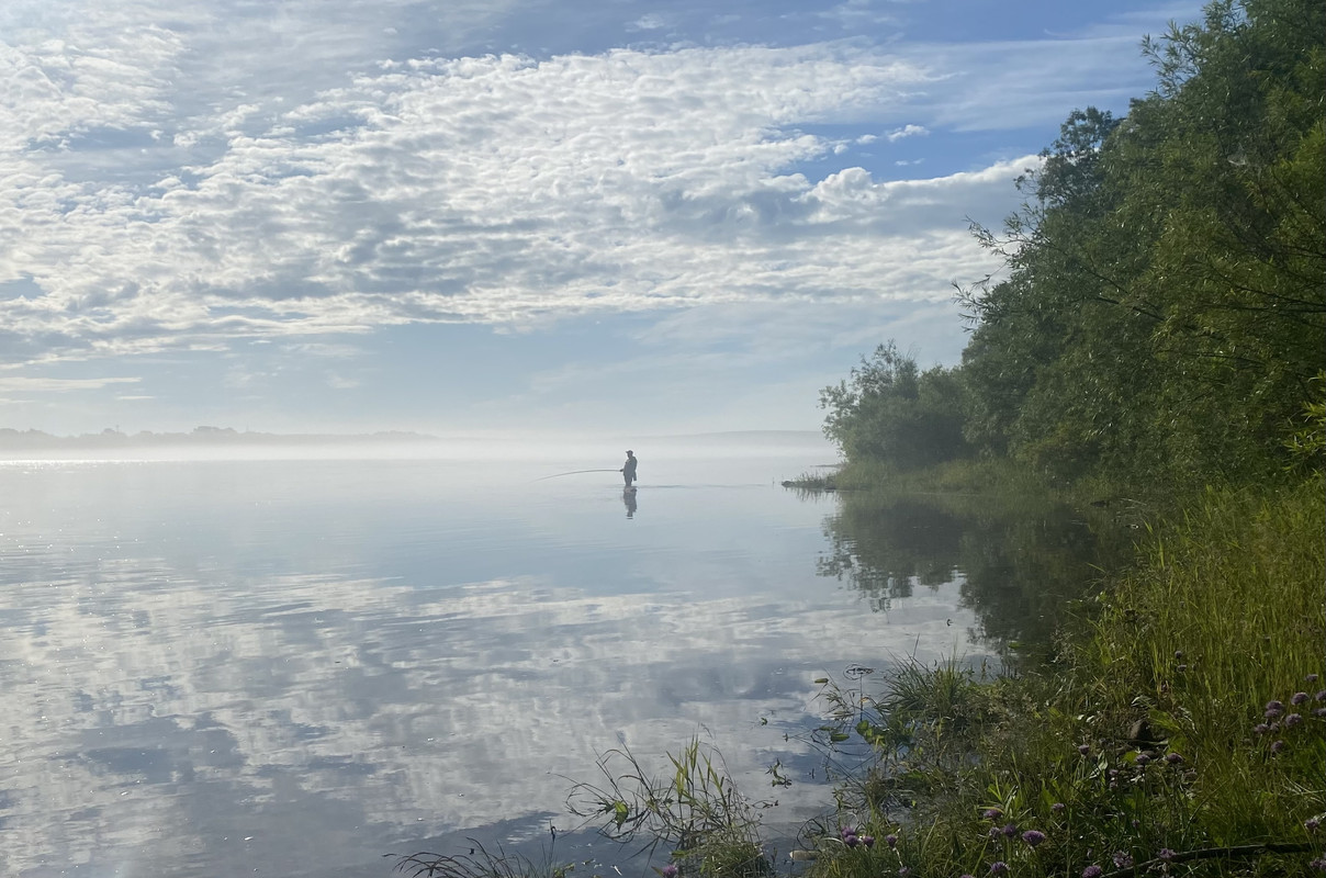 5C132881-D02D-4D1C-9C94-1F4789EE0091