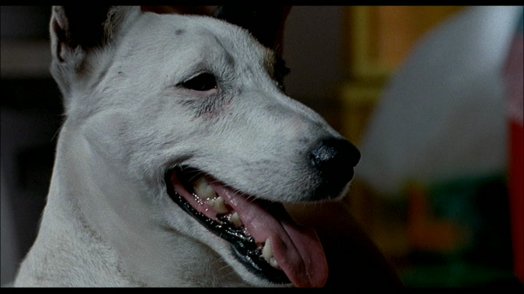 vlcsnap-2018-01-02-22h29m08s485