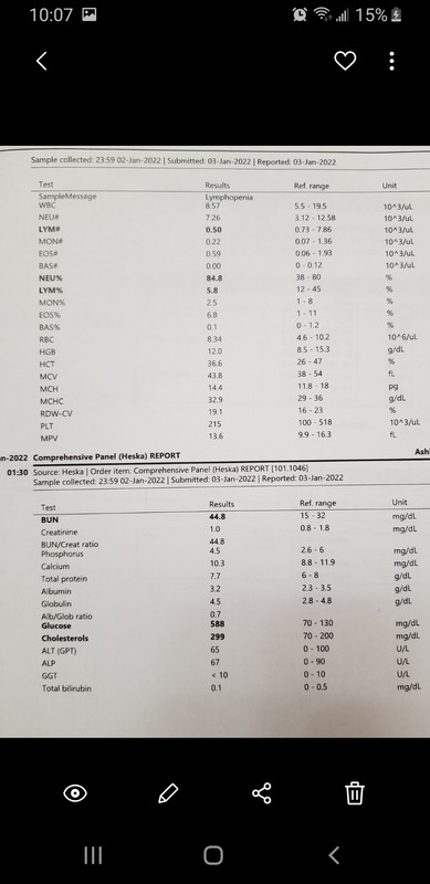 Screenshot_20220104-220708_Gallery