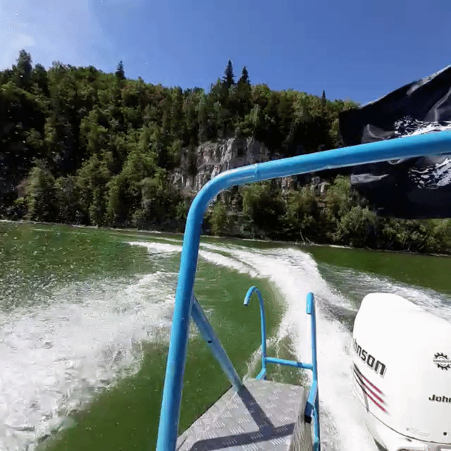 ezgif.com-gif-maker (1)