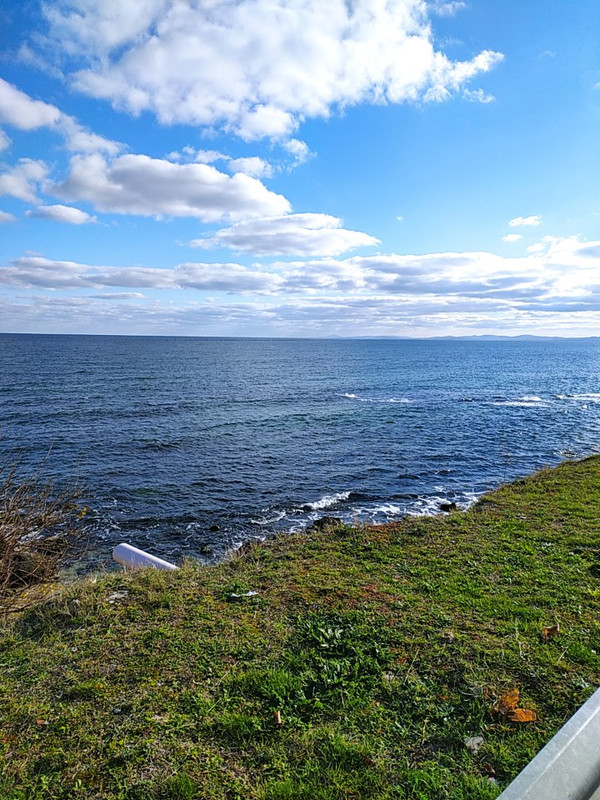 IMG 20211111 141800 — Postimages