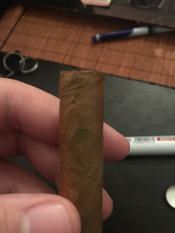 5CD7F813-3AAC-4735-8879-6B82DD61A9B2