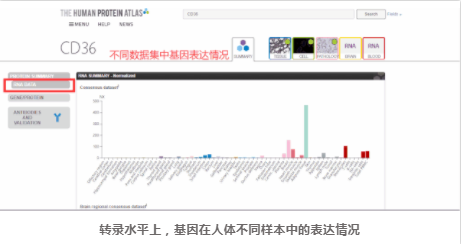 人类蛋白图谱-4.png