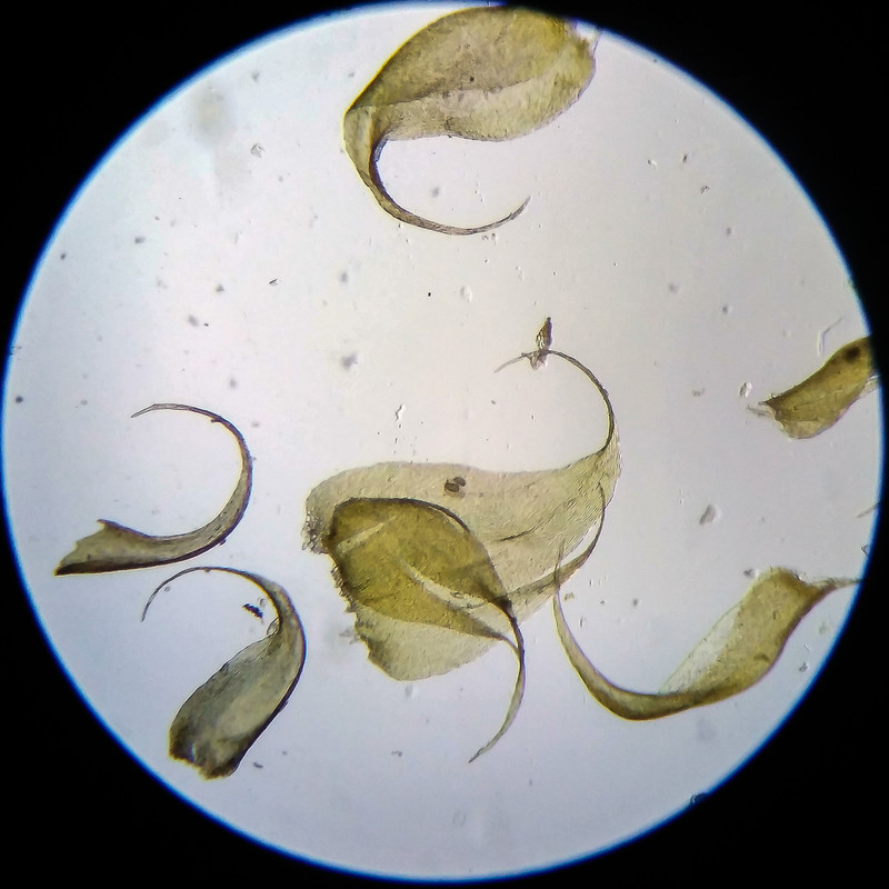 IMG 20250614 203235 HDR