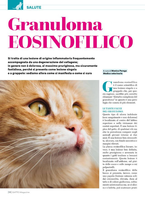 Ga Ma Ago-Set 2025 (11)