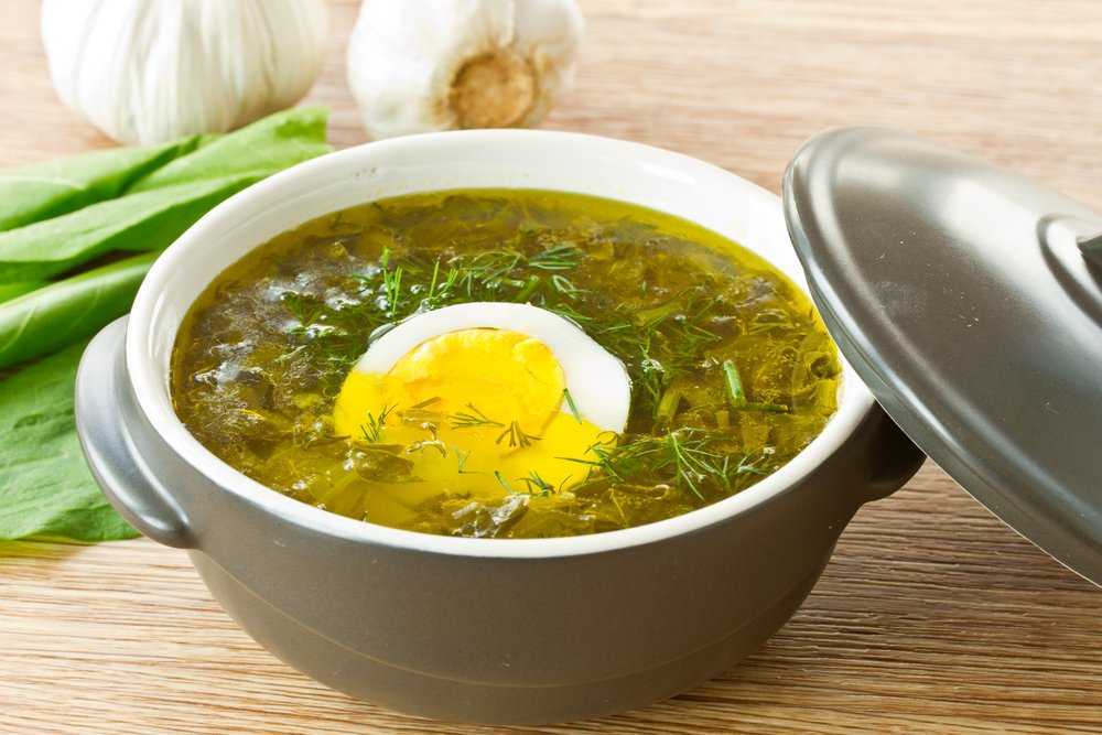 Восхитительный и полезный рецепт приготовления ароматного супа из свежего щавеля