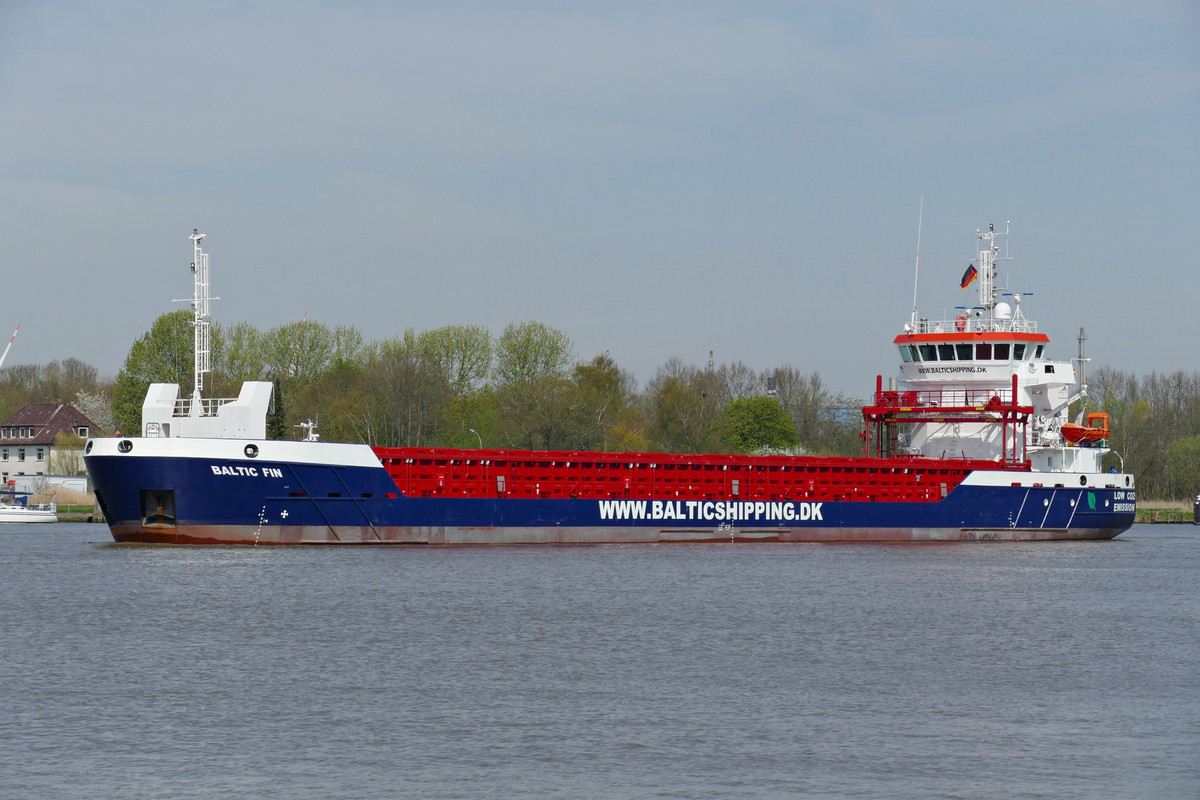 Baltic Fin (OK-220423-1)